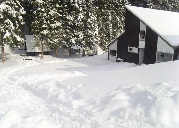 Park- Biberbau Station touristique